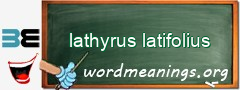 WordMeaning blackboard for lathyrus latifolius
